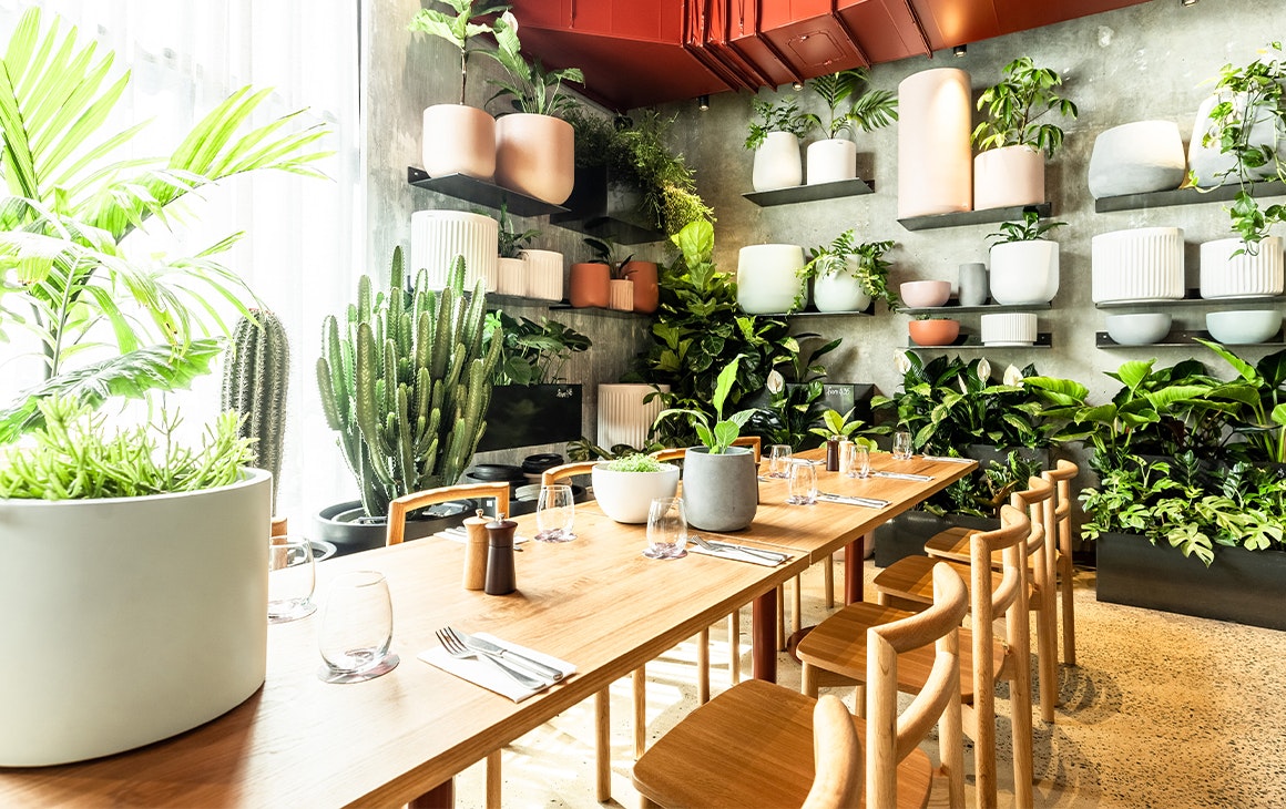 interior of a cafe with lots of plants